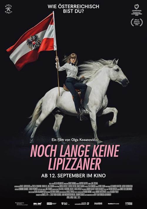 Noch lange keine Lipizzaner
